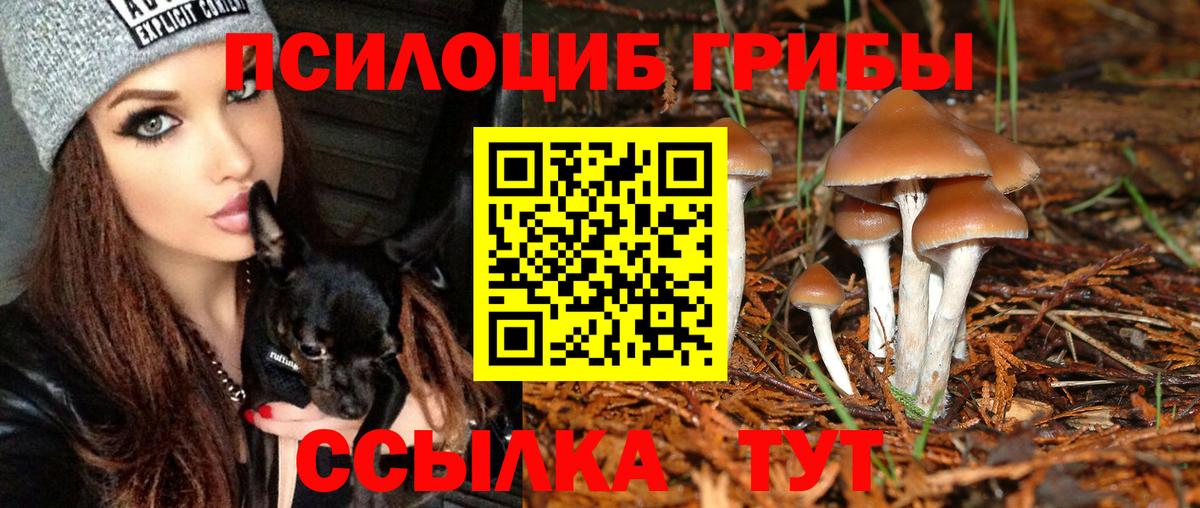 Галлюциногенные грибы мицелий  Вход с VPN  Отрадный 